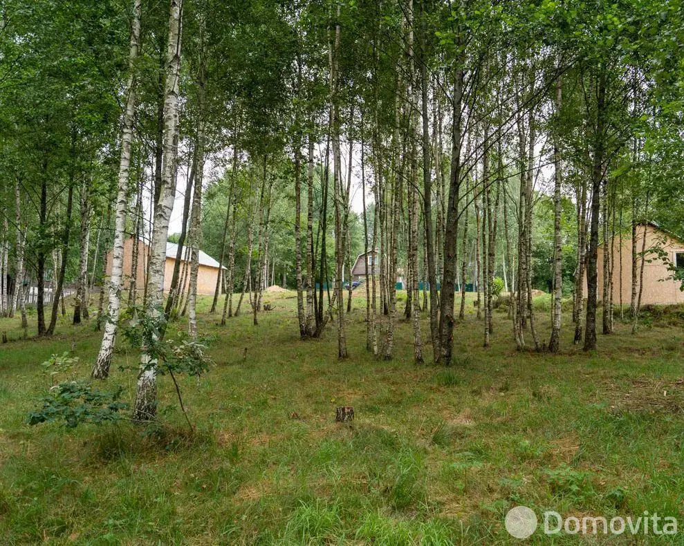 Купить земельный участок, 22.2 соток, Василевщина, Минская область, 23500USD, код 568917 - фото 12