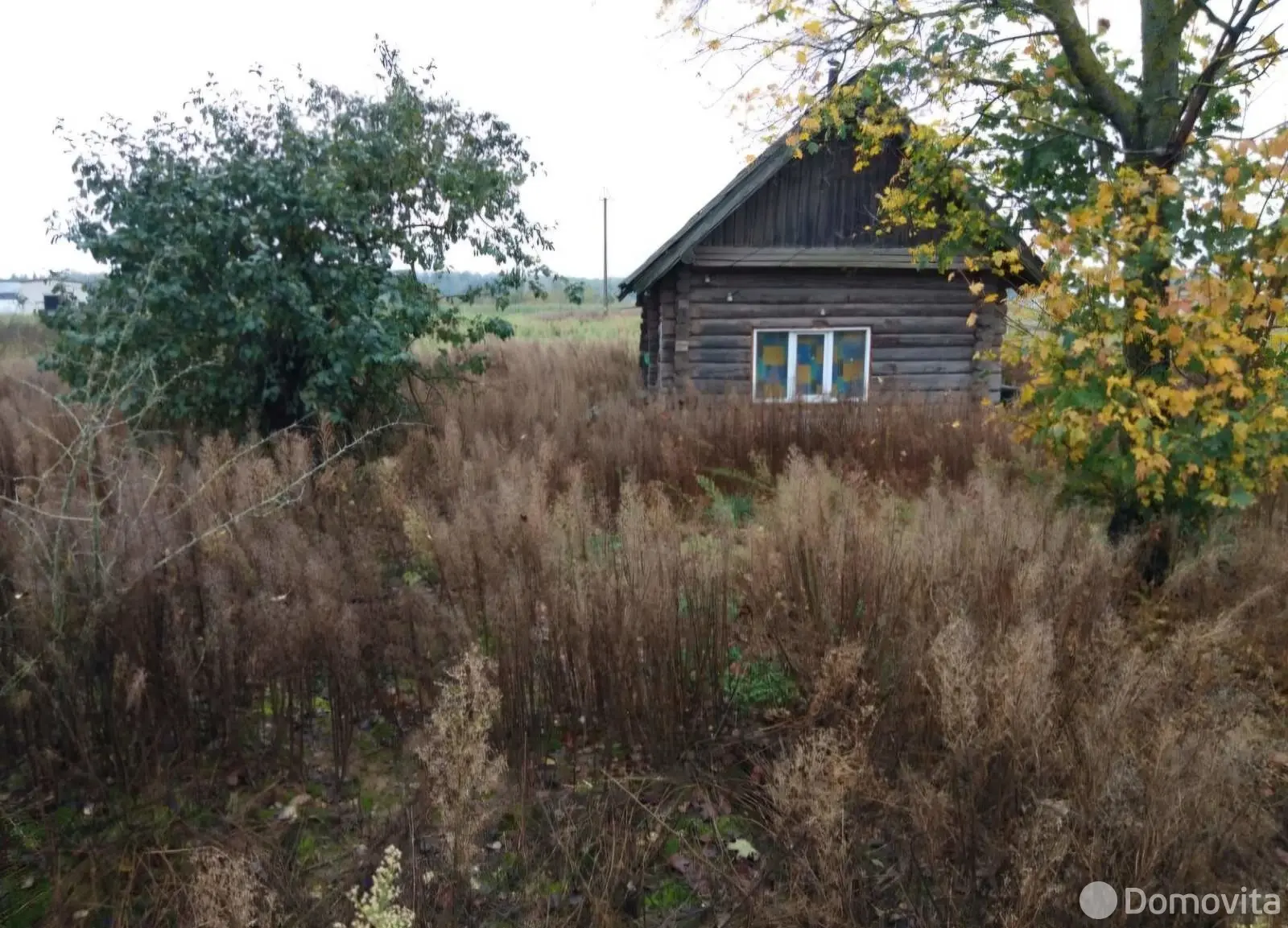 дом, Волосово, ул. Полевая