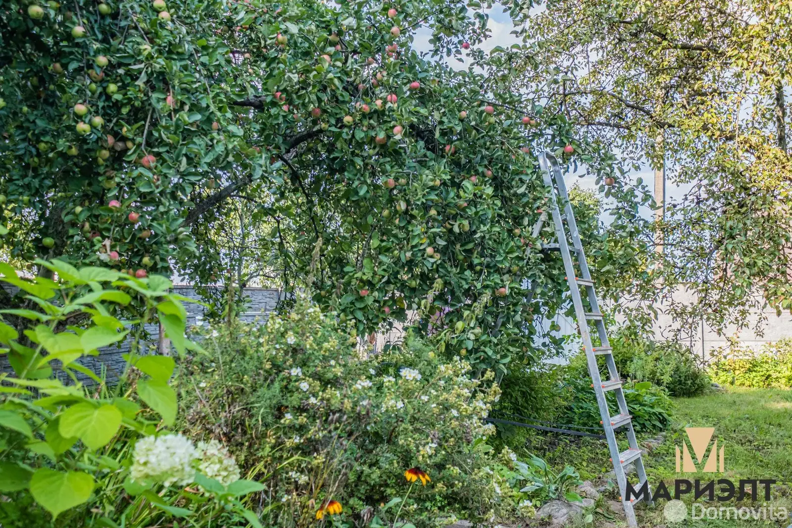 Купить земельный участок, 15 соток, ЯСЕВИЧИ, Минская область, 35000USD, код 570229 - фото 21