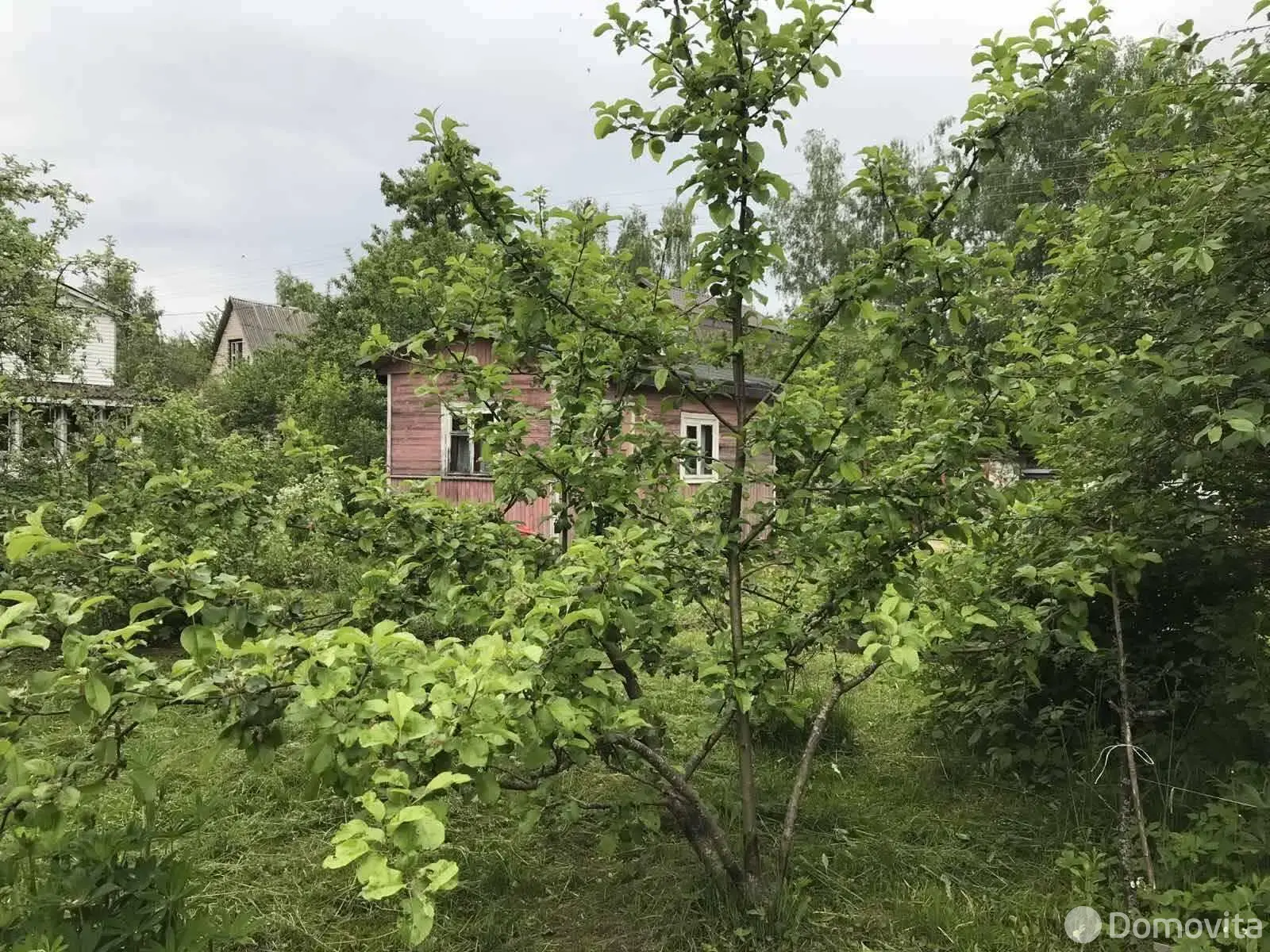 продажа участка, Электрон-89, 