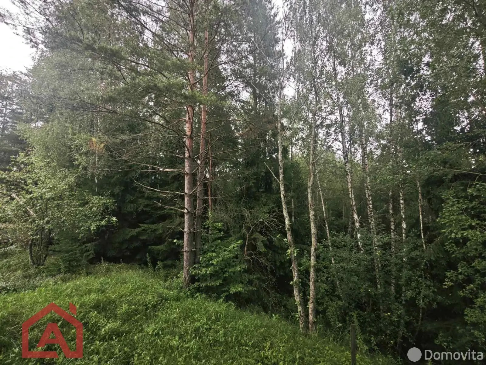 Стоимость продажи участка, Мончаки, ул. Лесная
