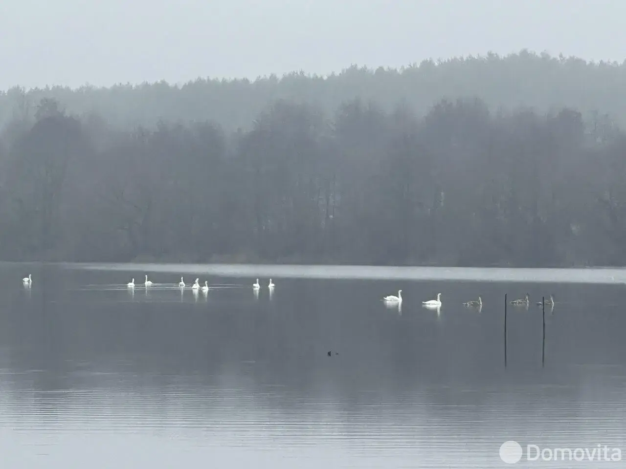 дом, Петровинка, ул. Центральная, д. 3