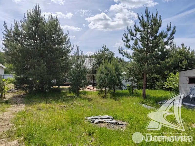 Продажа 1-этажной дачи в Росинка при Брестском ДЭУ-138 Брестская область, 216000BYN, код 185910 - фото 25