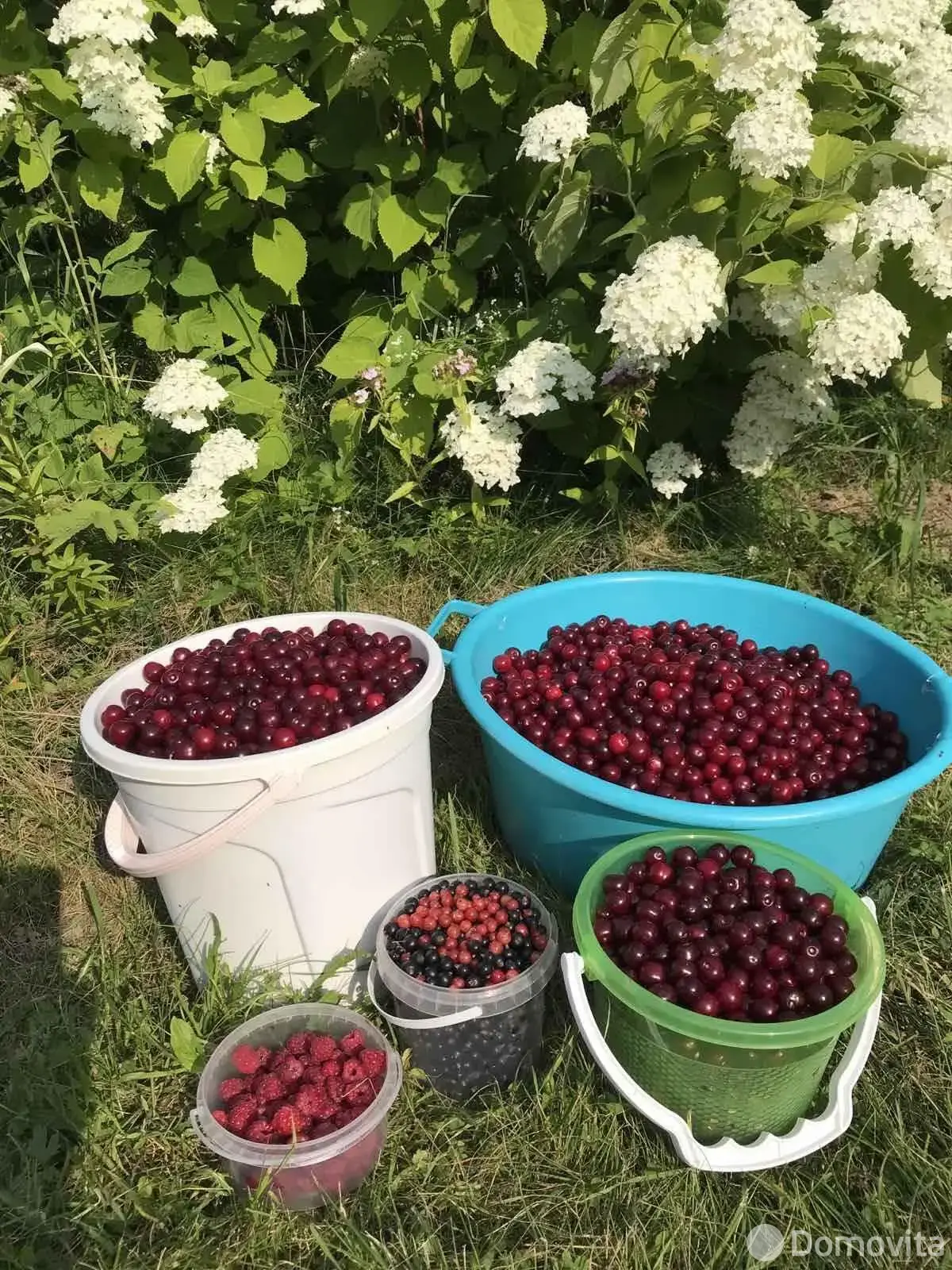 продажа участка, Электрон-89, 