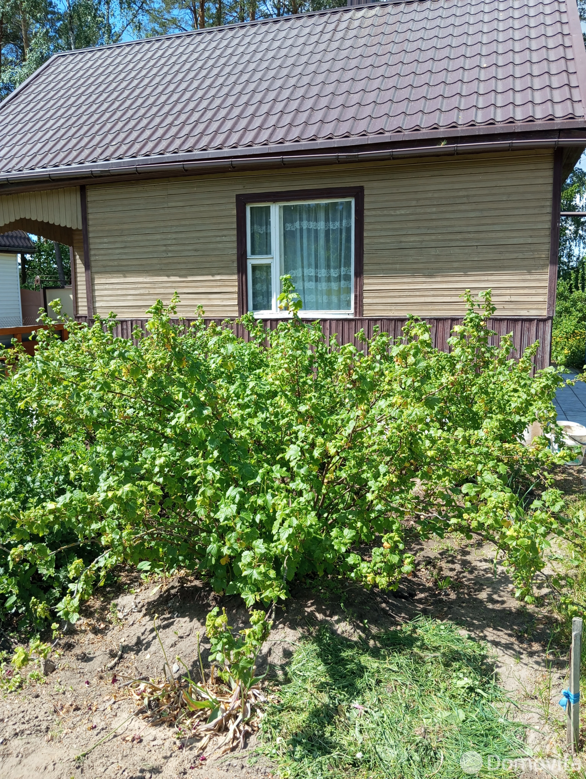 дача, Татарка Гродненского района, 
