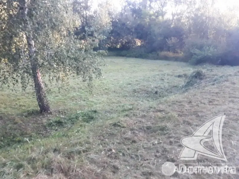 участок, Ранет-94,