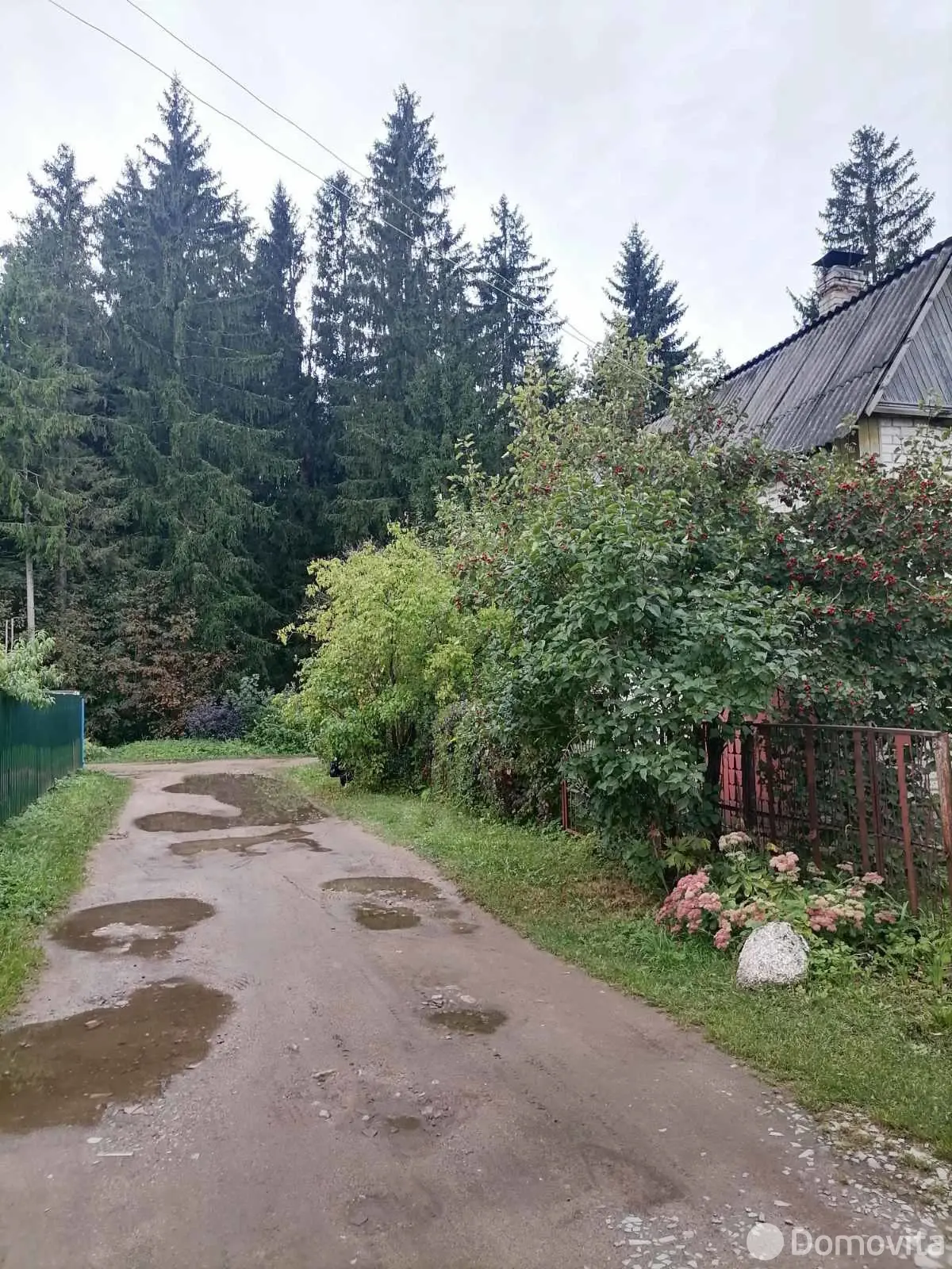 дача, Лосвидо,