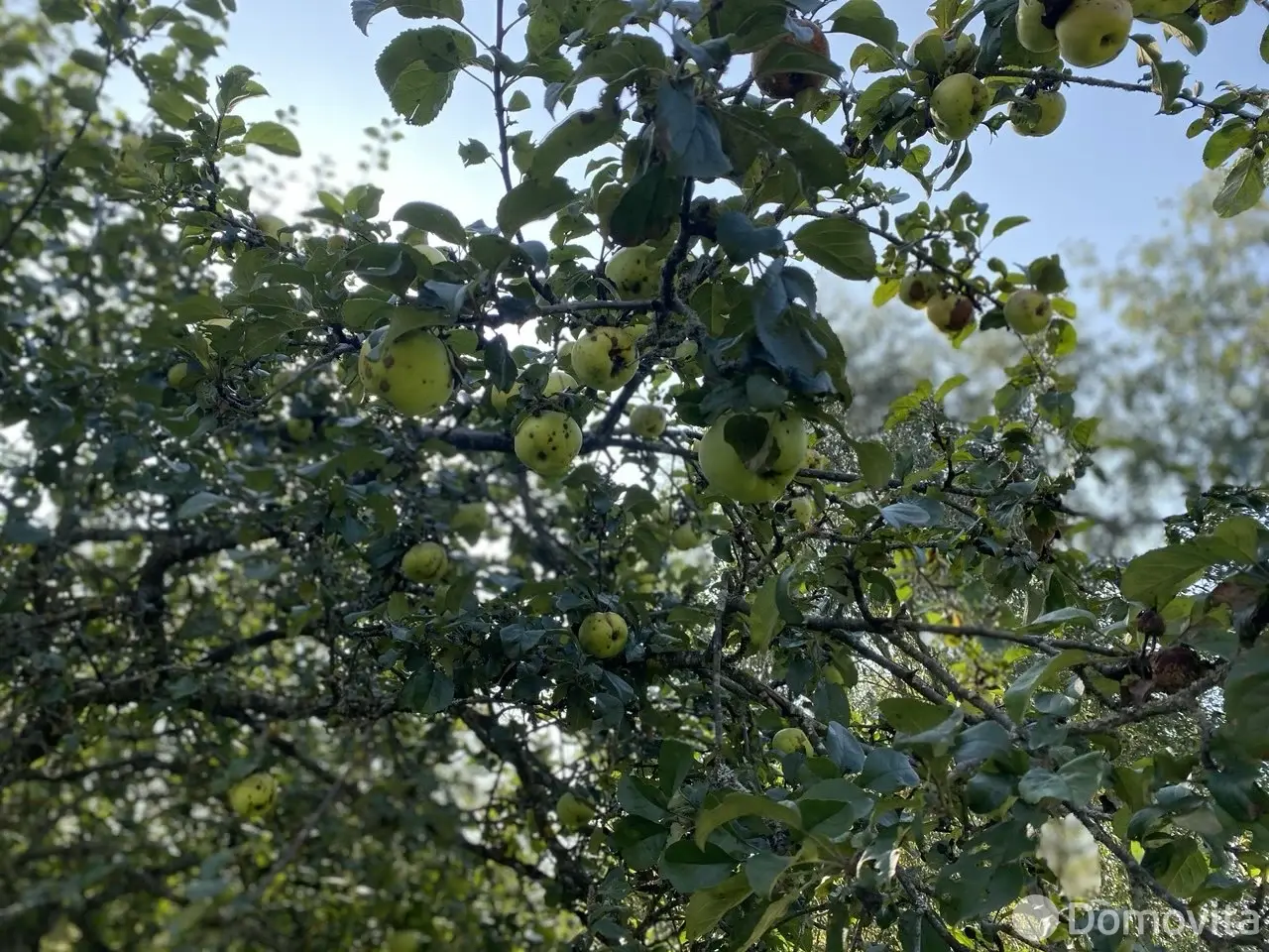 купить участок, Витебск, ул. Полевая, д. 6