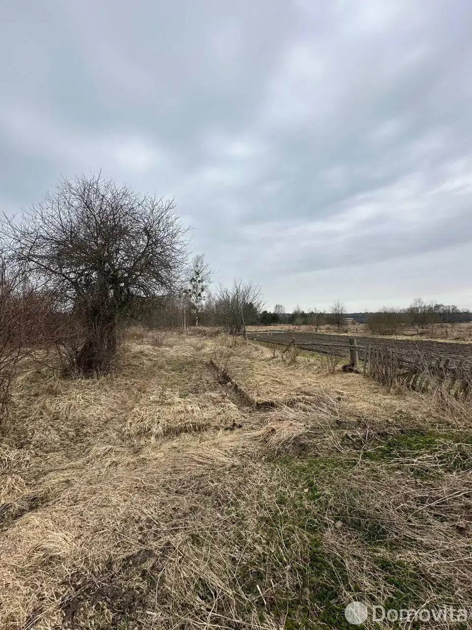 участок, Теребейное, д. 23 - лучшее предложение