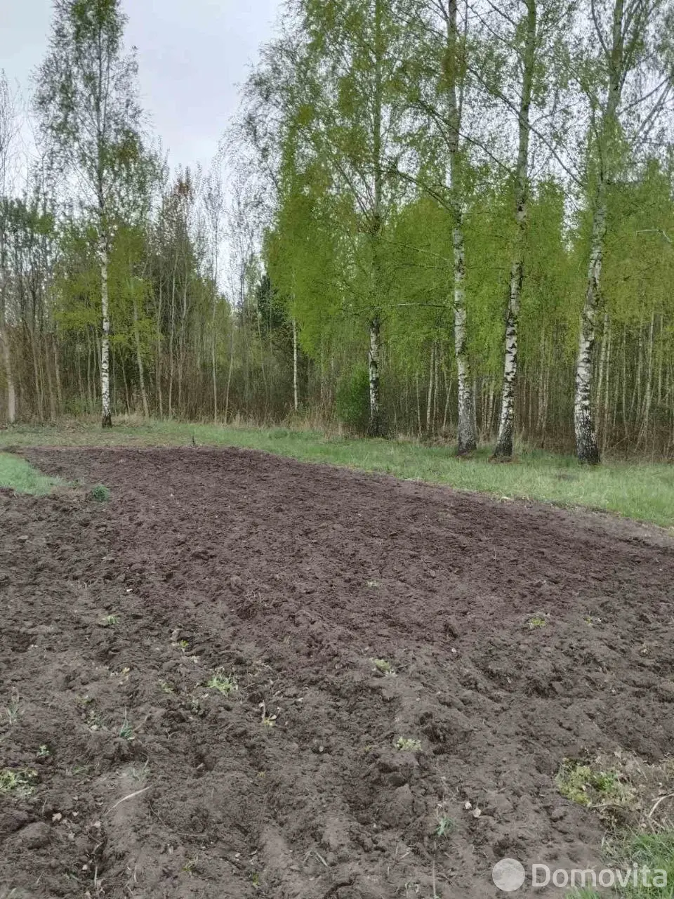 продажа участка, Дричин, 