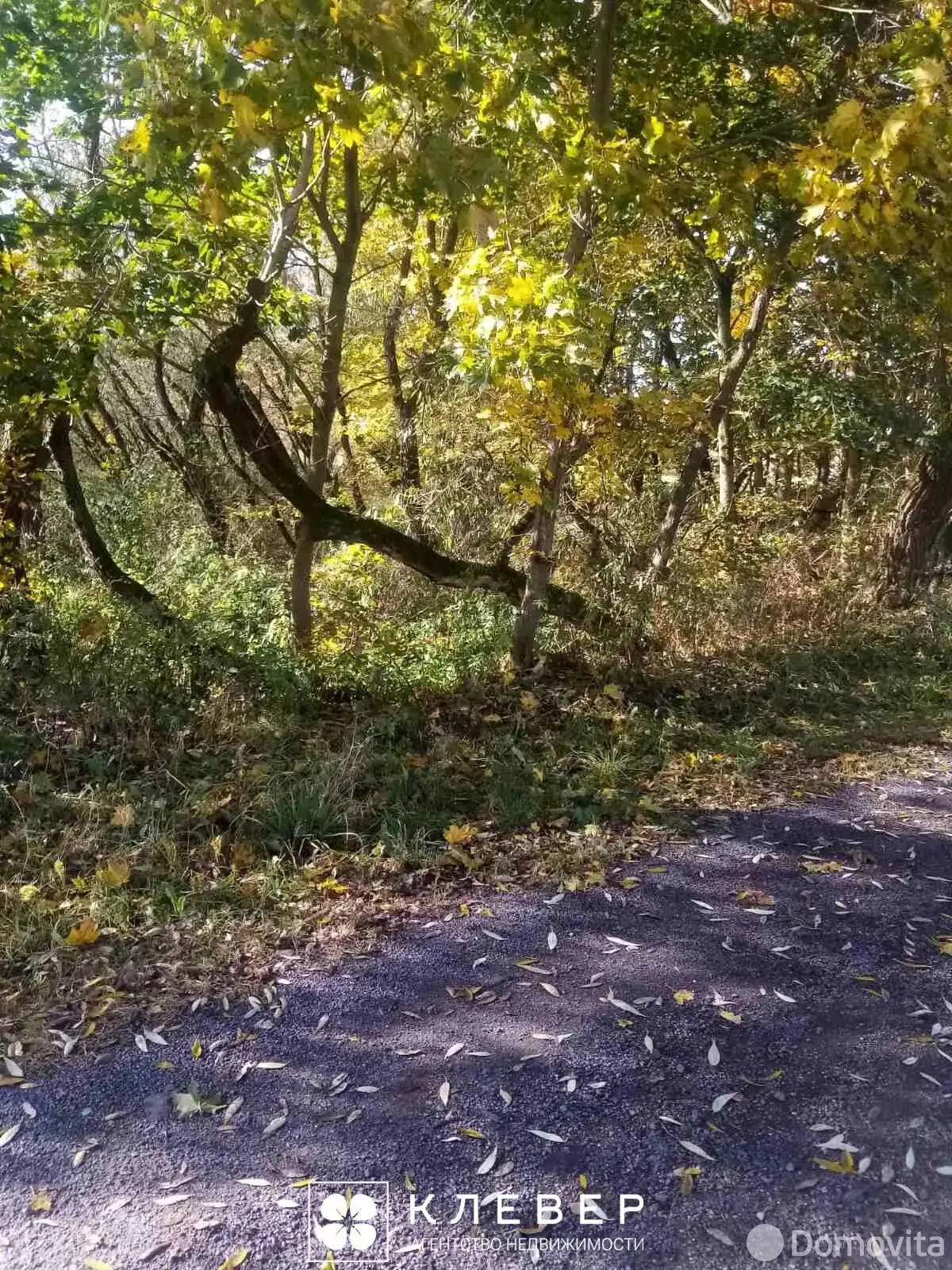 Цена продажи участка, Лебединец, 