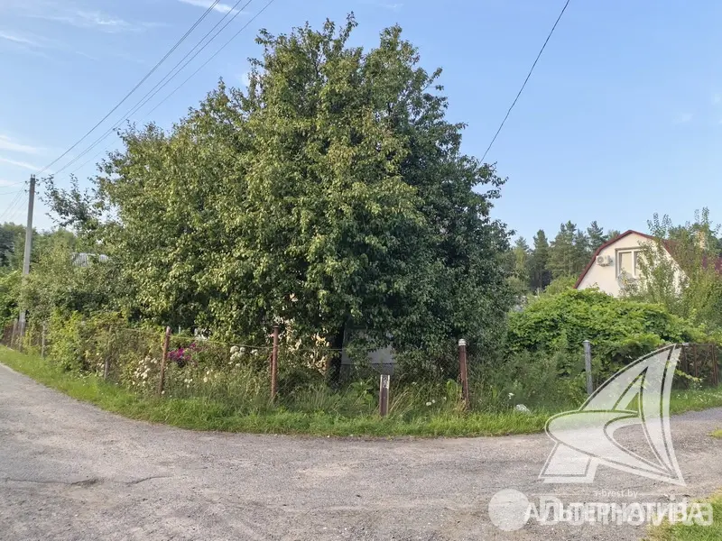 Купить 2-этажную дачу в Дорожник Брестская область, 20000USD, код 183835 - фото 19