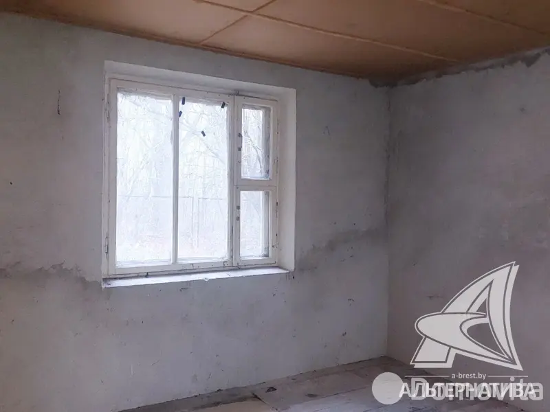 дача, Лесная поляна, 