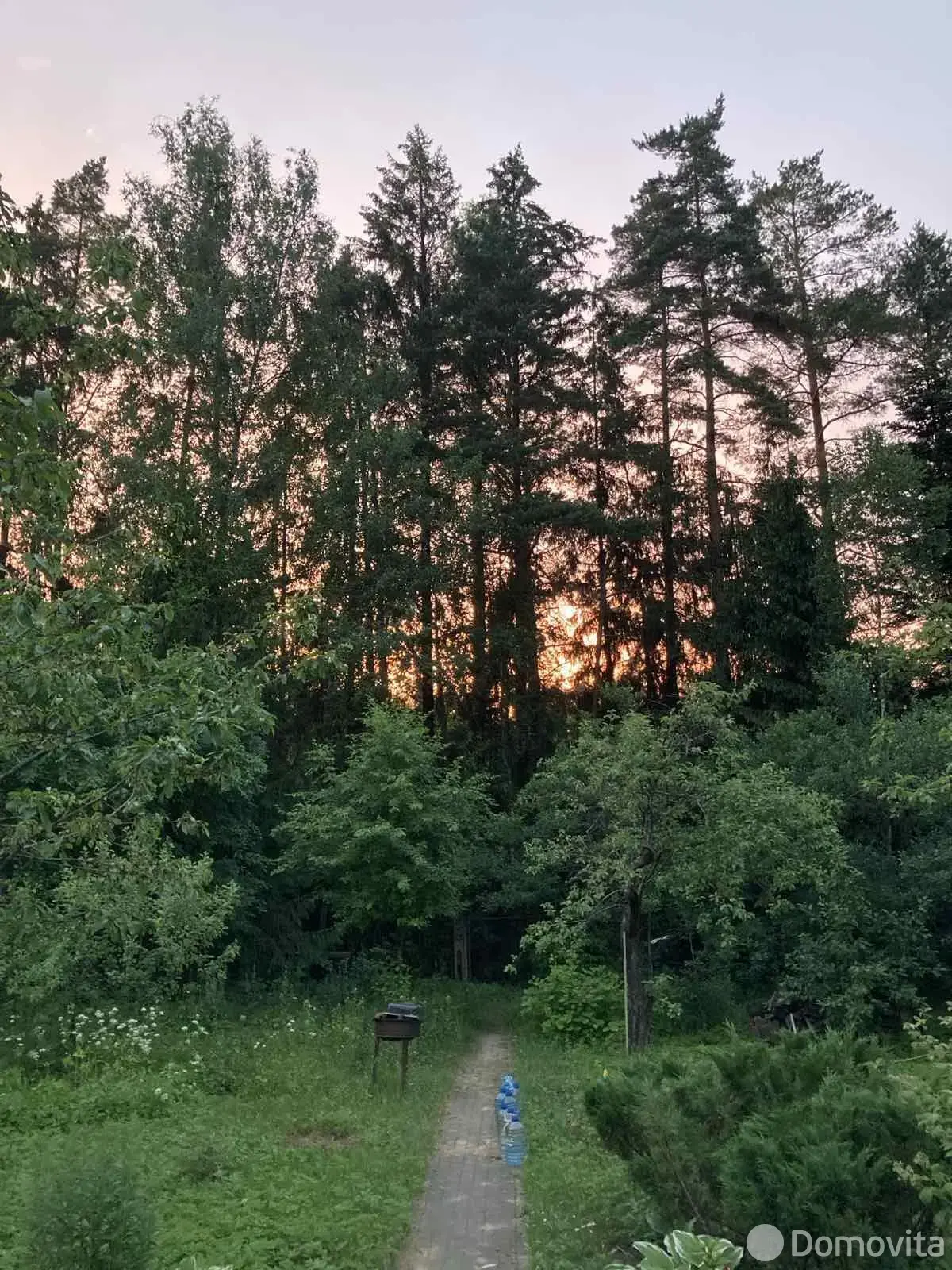 дача, Урожай, 