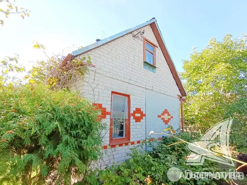 дача, Сигнал-2009, 