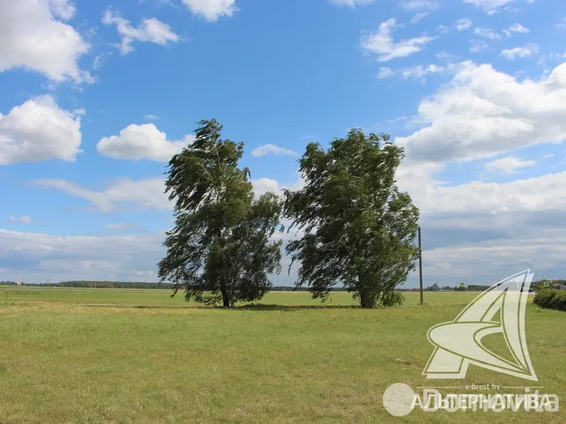 участок, Хабы, 