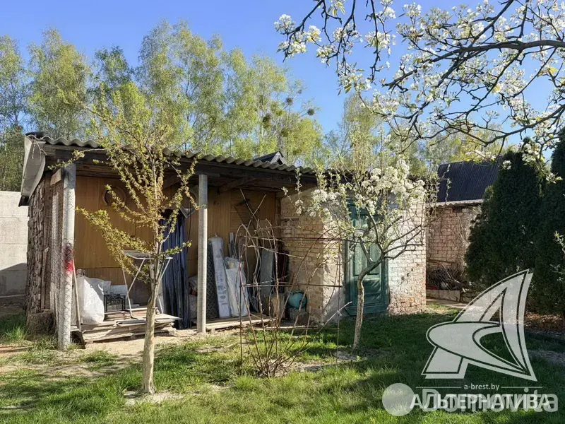 Купить 1-этажную дачу в Росинка при Брестском ДЭУ-138 Брестская область, 41500USD, код 185670 - фото 14