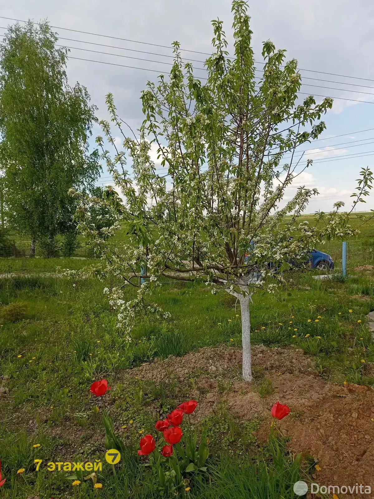 Продажа 1-этажной дачи в Вишневый сад Минская область, 10500USD, код 178393 - фото 60