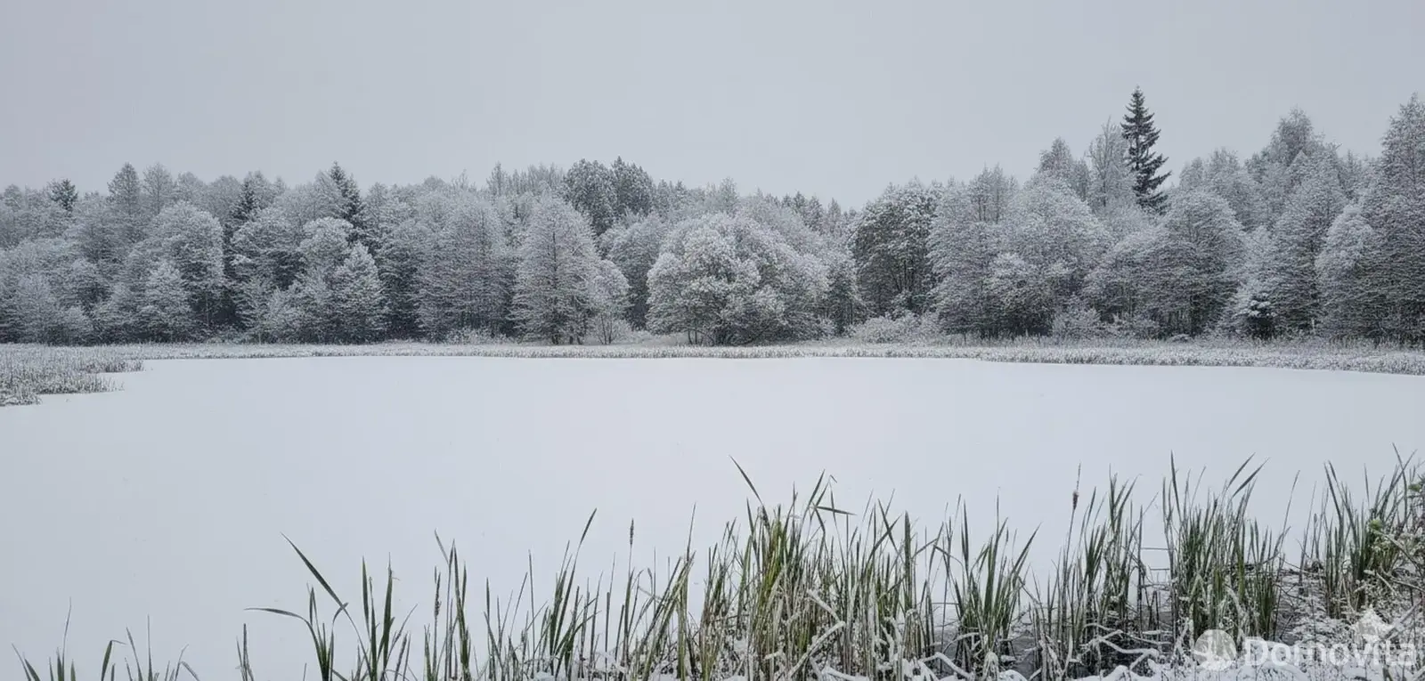 Стоимость продажи участка, Борщевник, д. 57