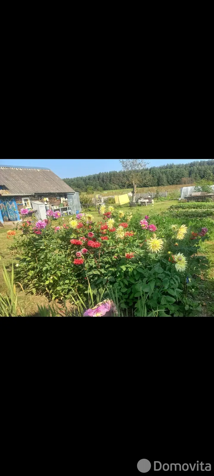 дача, Поповцы, без посредников