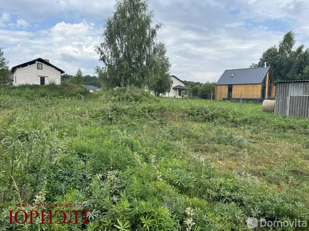 участок, Птичь-2, 