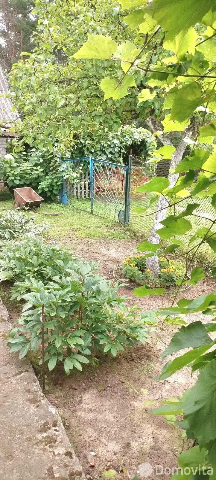 Продажа 1-этажной дачи в Сосновая балка-1 Гродненская область, 10700USD, код 183911 - фото 11