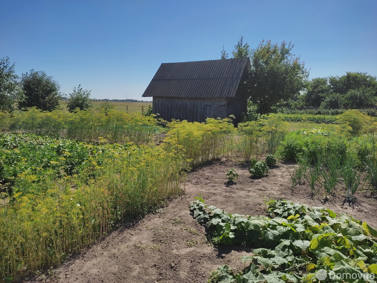 Купить 1-этажную дачу в Подгае Минская область, 9000USD, код 184121 - фото 23