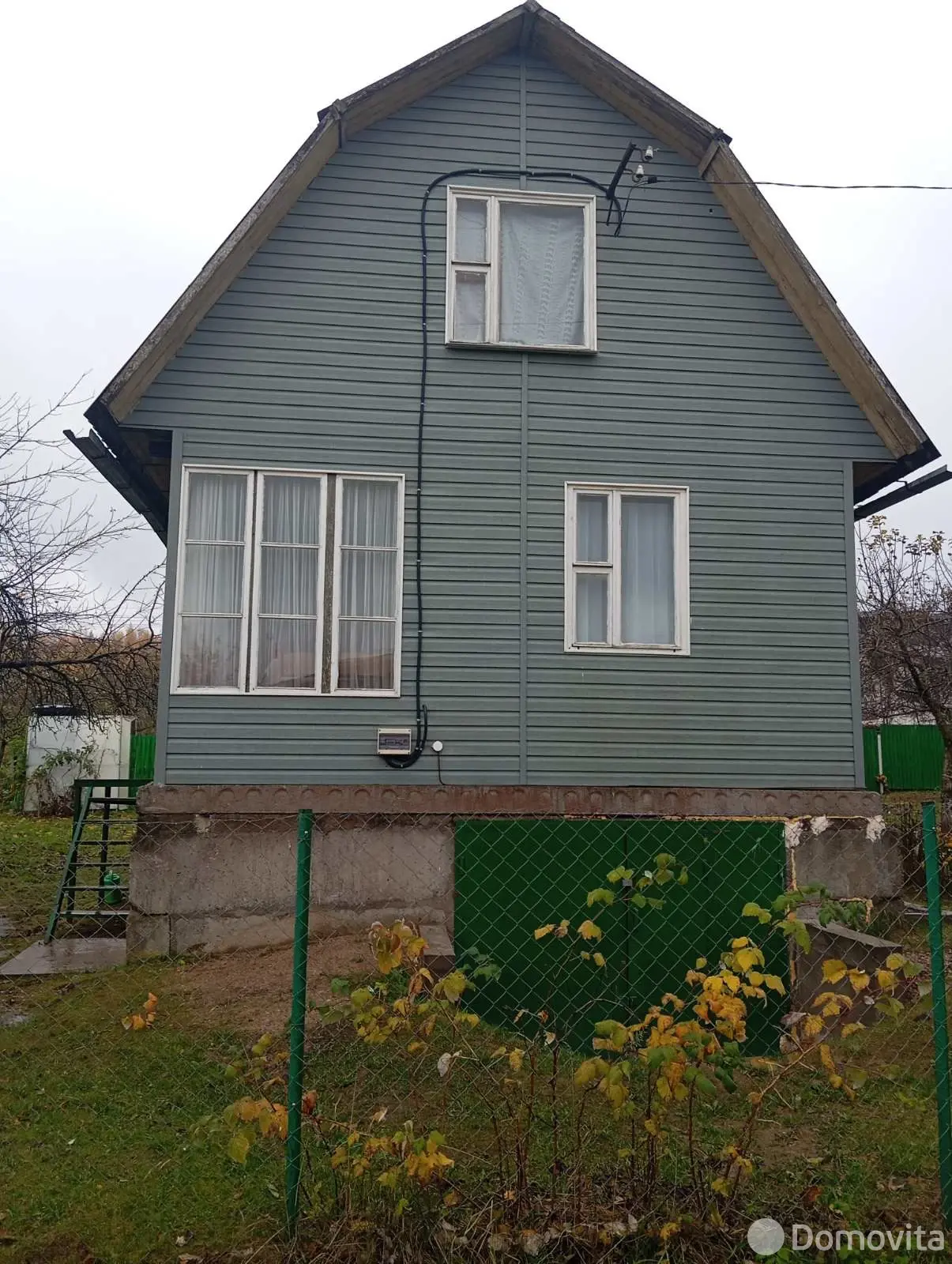 дача, Тюльпан, 