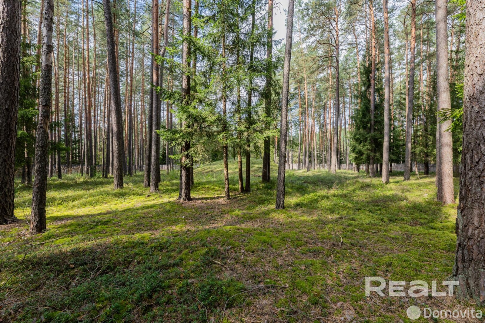 Купить помещение под сферу услуг в Ракове, ул. Боровая - фото 8