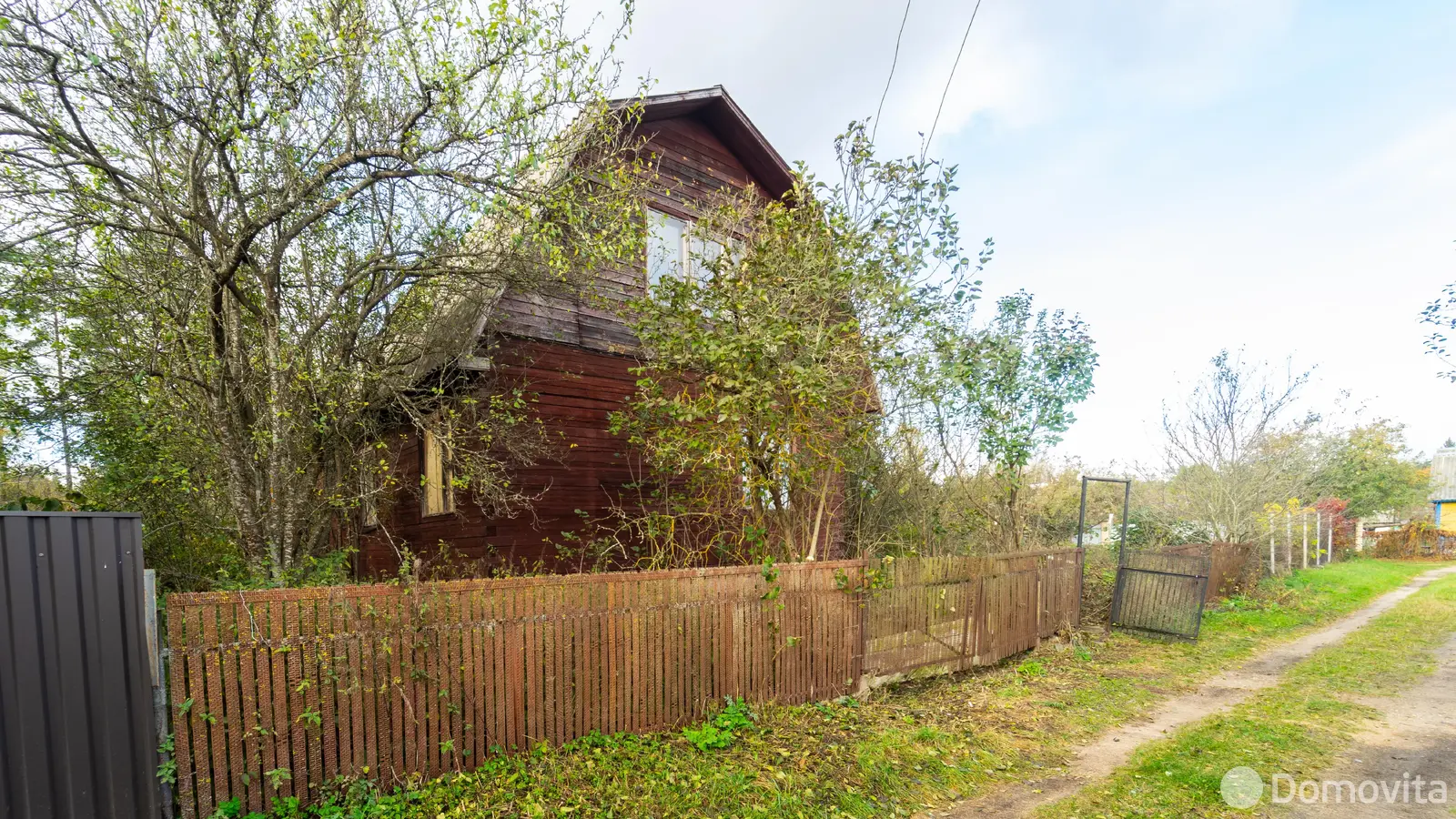 дача, Шарик,