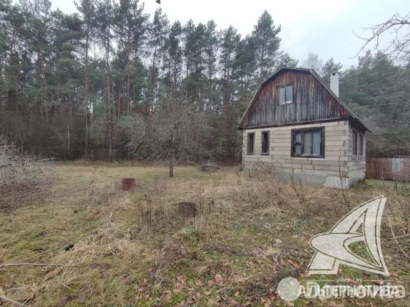 Купить 1-этажную дачу в Чернинский Родничок Брестская область, 14900USD, код 184251 - фото 4