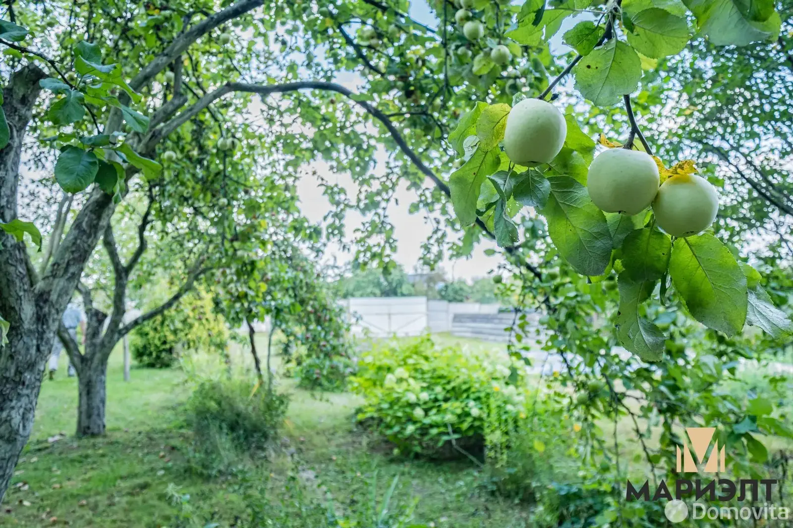 Купить земельный участок, 15 соток, ЯСЕВИЧИ, Минская область, 35000USD, код 570229 - фото 27