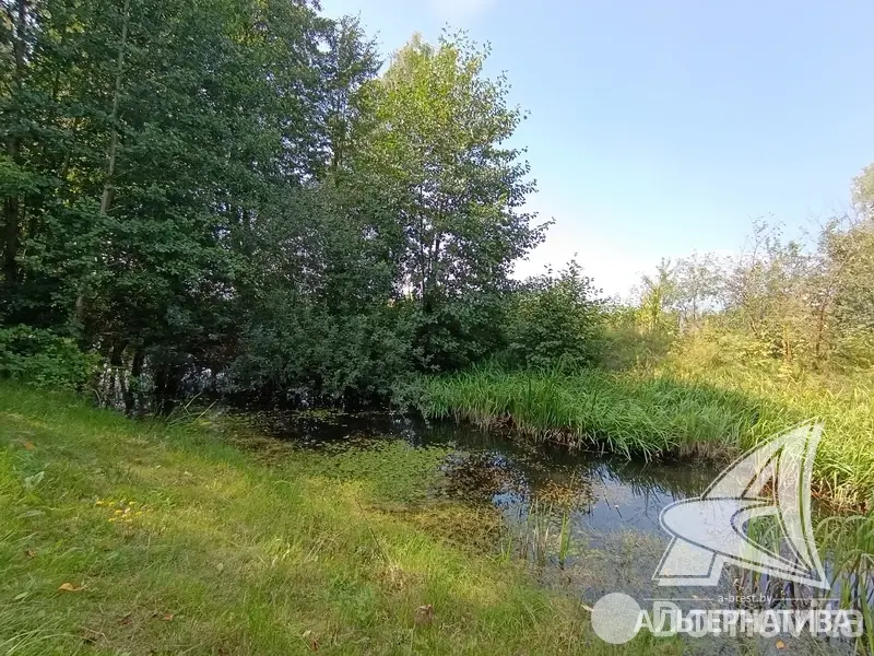 участок, Колос-9, 