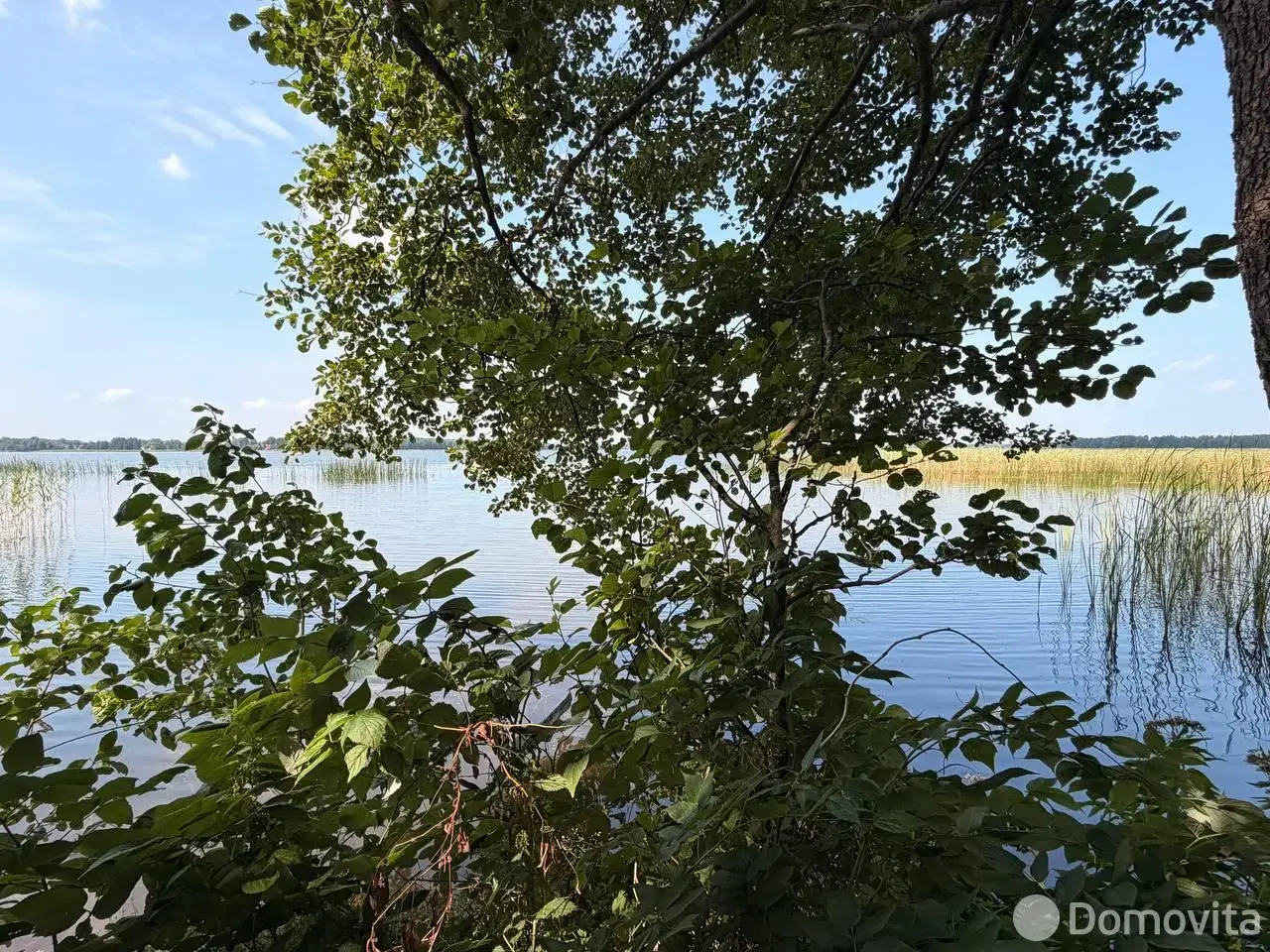 Купить земельный участок, 25 соток, Азарки-Пудовинка, Минская область, 33000USD, код 572433 - фото 24
