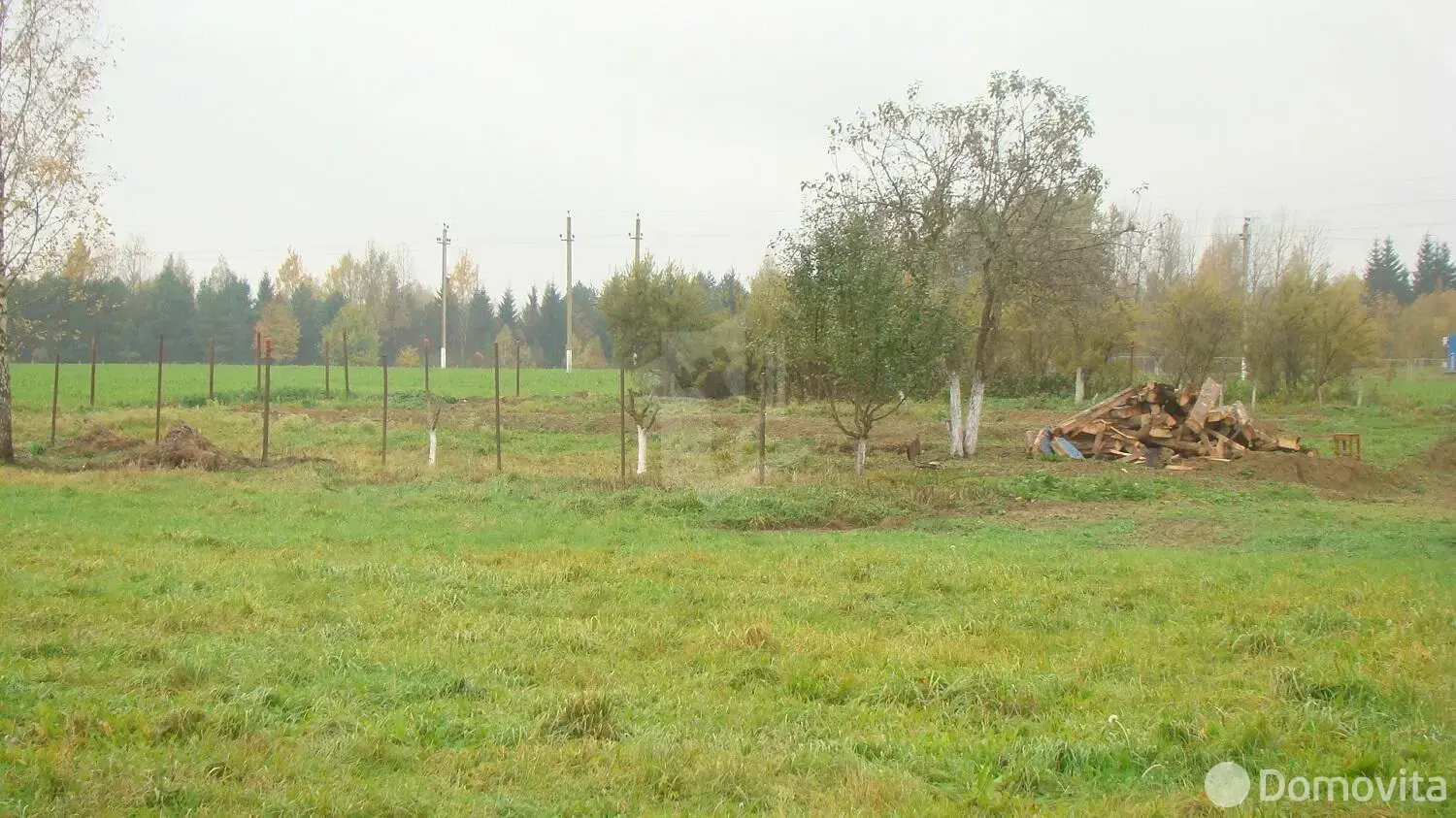 участок, Озерцо, ул. Центральная 