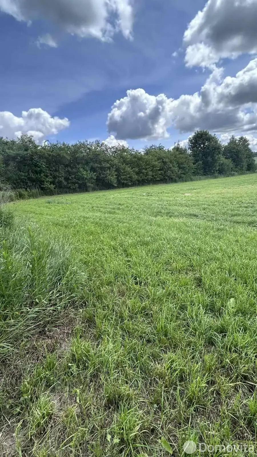 дом, Иваново, ул. Лесная 