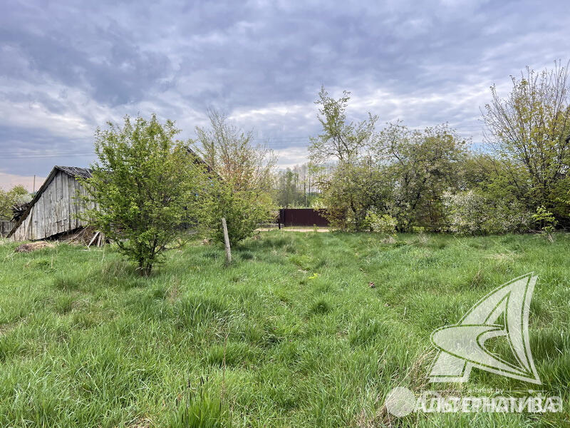 Купить земельный участок, 20.46 соток, Турна Большая, Брестская область, 10500USD, код 567787 - фото 15