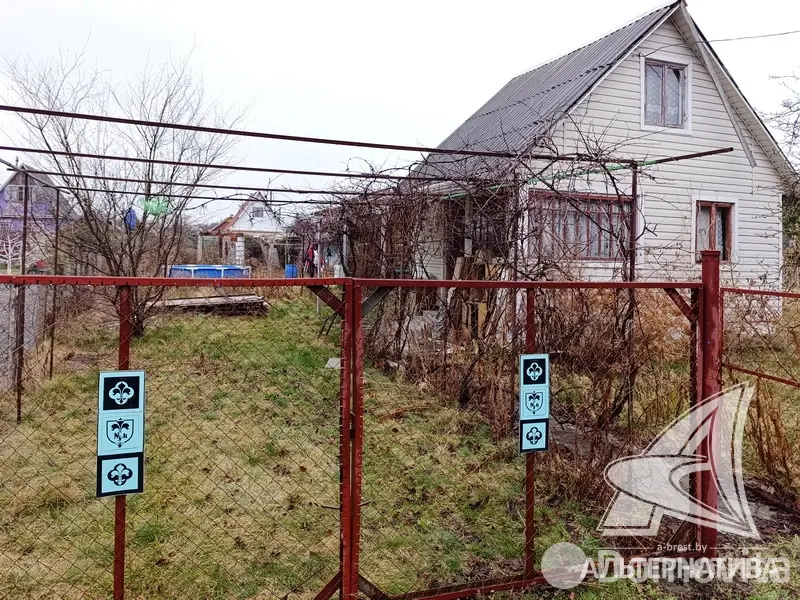 Купить 1-этажную дачу в Здоровье 2008 Брестская область, 15500USD, код 185353 - фото 6