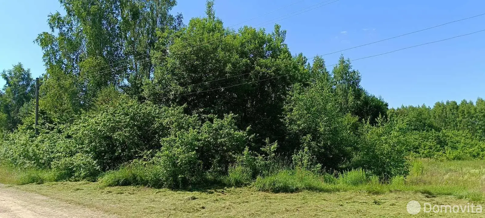 Купить земельный участок, 15 соток, Замостье, Минская область, 60000BYN, код 572581 - фото 1