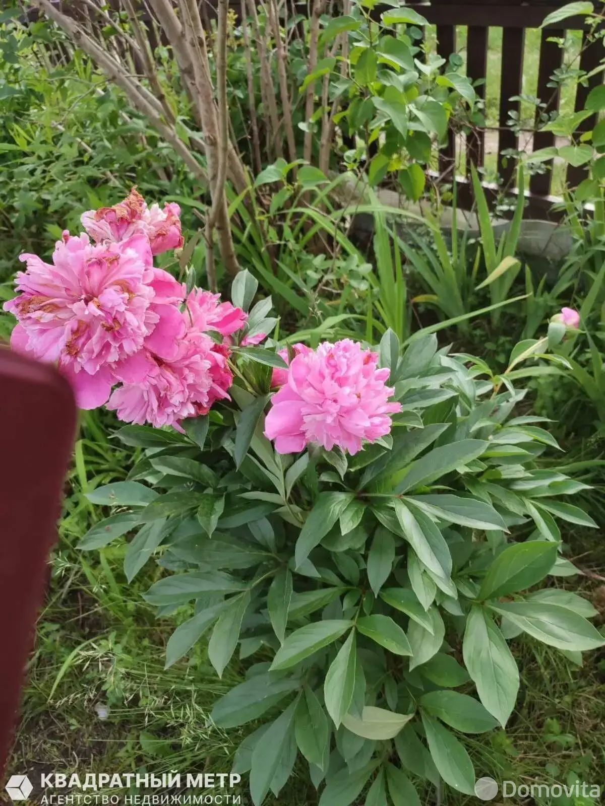 Купить 1-этажную дачу в Сосны-Сад Минская область, 18000USD, код 184258 - фото 16