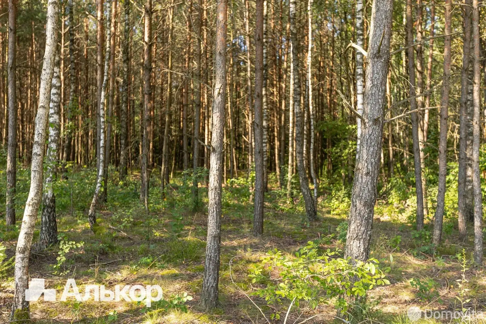 Купить 2-этажную дачу в За урожай Минская область, 29000USD, код 185181 - фото 36