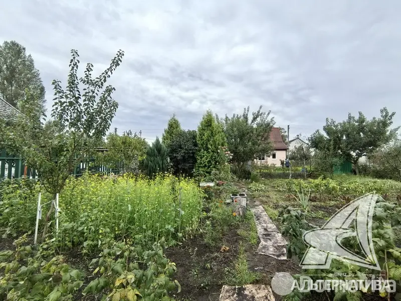 Продажа 1-этажной дачи в Керамик-1 Брестская область, 19000USD, код 184197 - фото 12