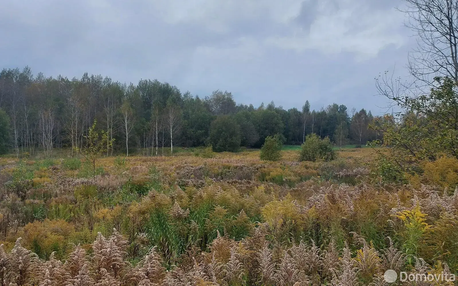 участок, Чучаны, 