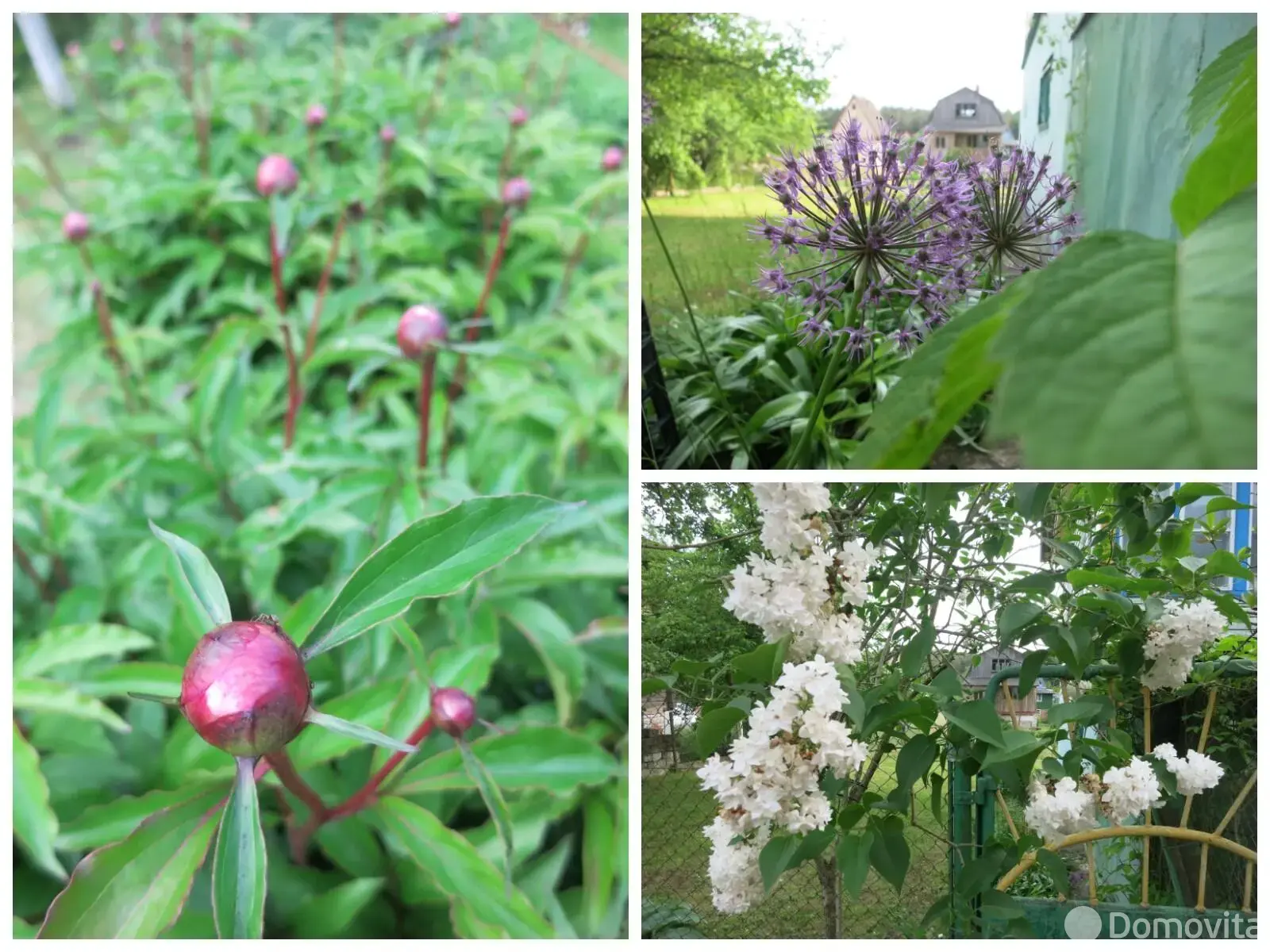 Продажа 2-этажной дачи в Искра Ракова Минская область, 12000USD, код 183113 - фото 29