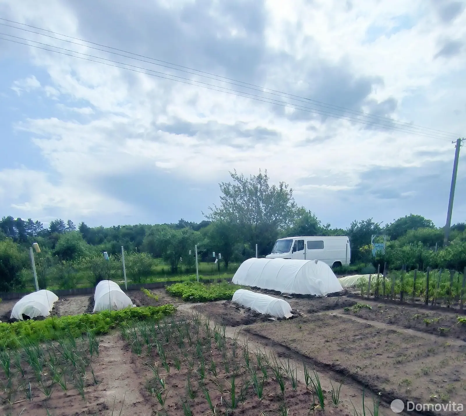 дом, Особино, д. 63, стоимость продажи 11 344 р.