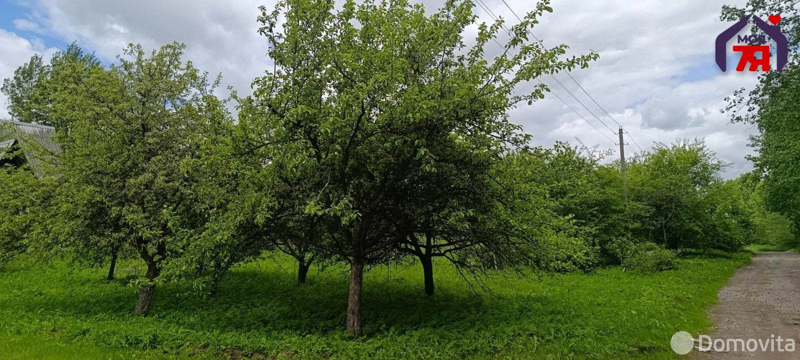 дача, Освободитель, 