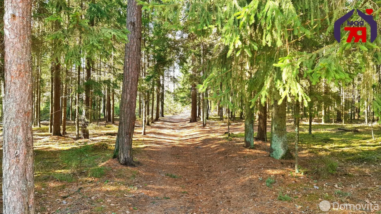 Купить земельный участок, 25 соток, Аксаковщина, Минская область, 69000USD, код 571356 - фото 22