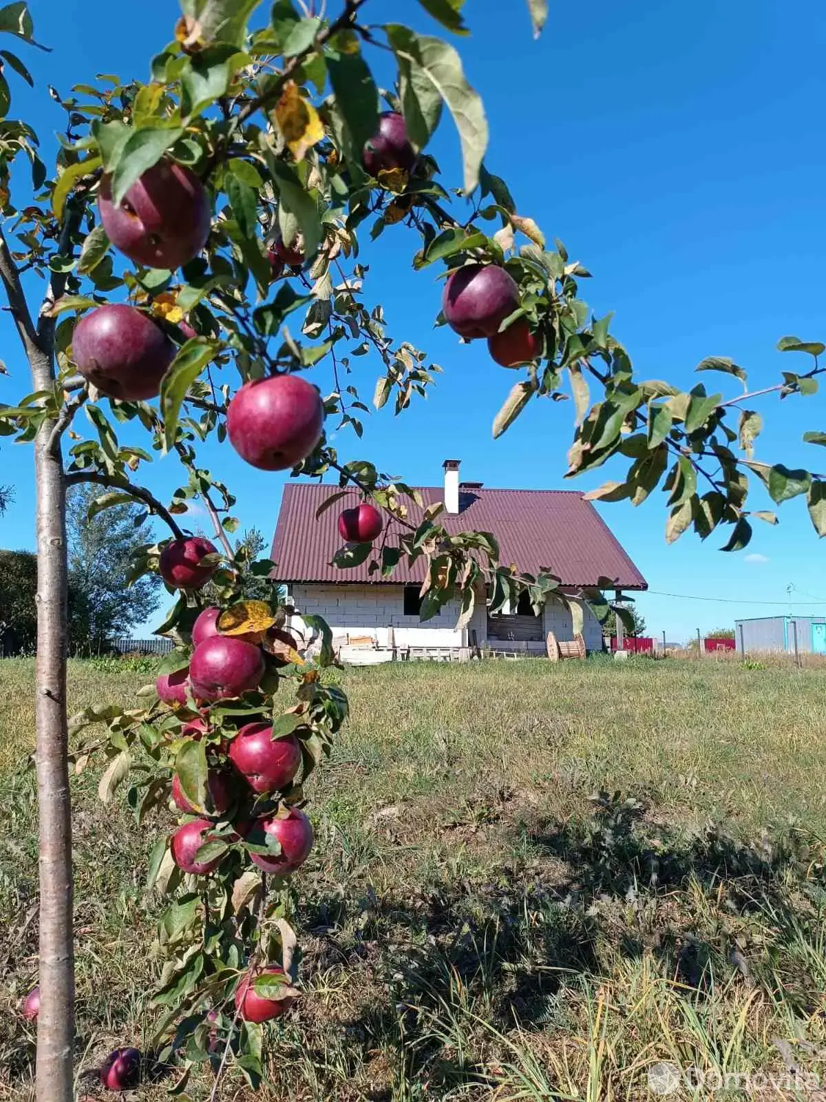 дом, Дудичи, ул. Полевая 