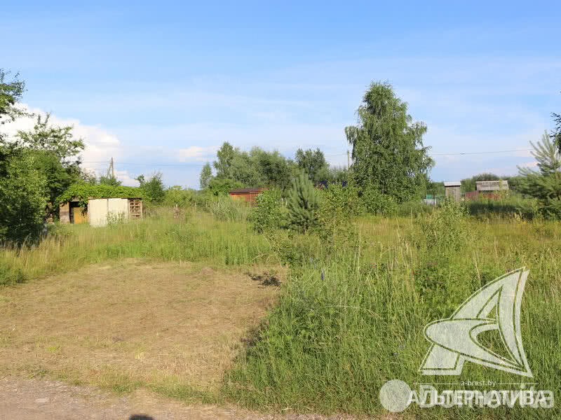 Купить земельный участок, 5 соток, Ветеран-3, Брестская область, 2000USD, код 559303 - фото 4