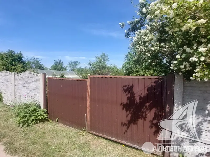 дача, Транспортник-91, 